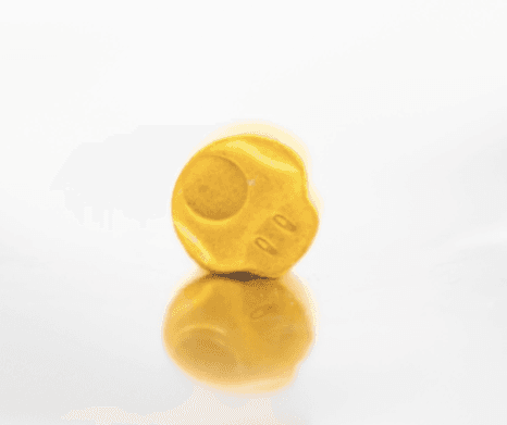 Yellow Toad